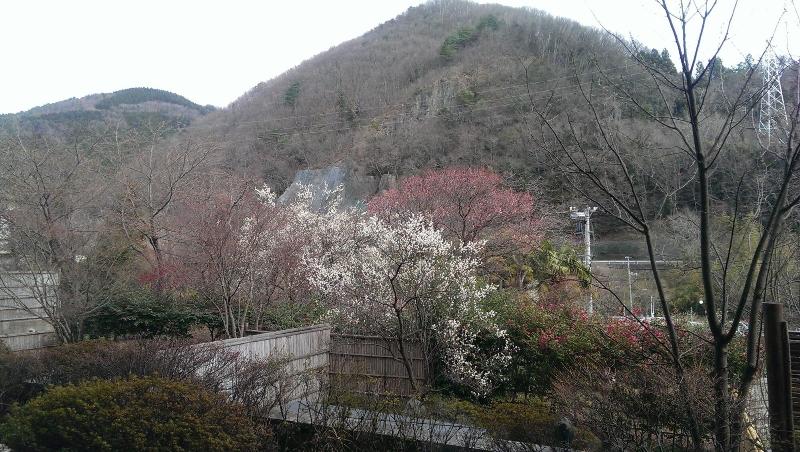 Hotel Matsuriya Yuzaemon