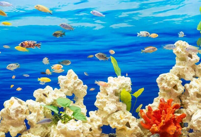 בית מלון כפרי Aquaboutique Wellness&spa