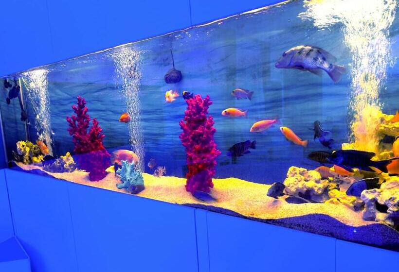 בית מלון כפרי Aquaboutique Wellness&spa