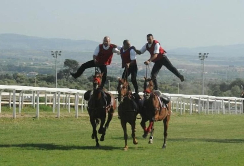 Hotel Sassari   Copenaghen House   Zona Ospedale