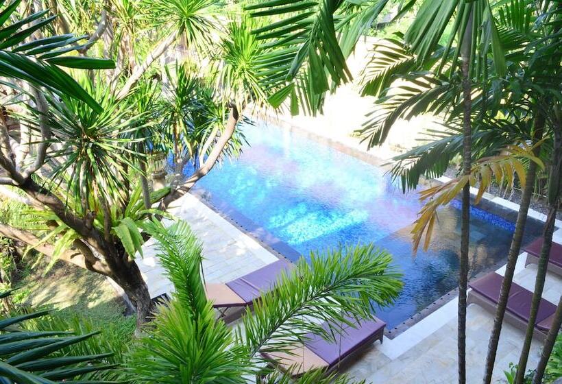 בית מלון כפרי Tori Inn