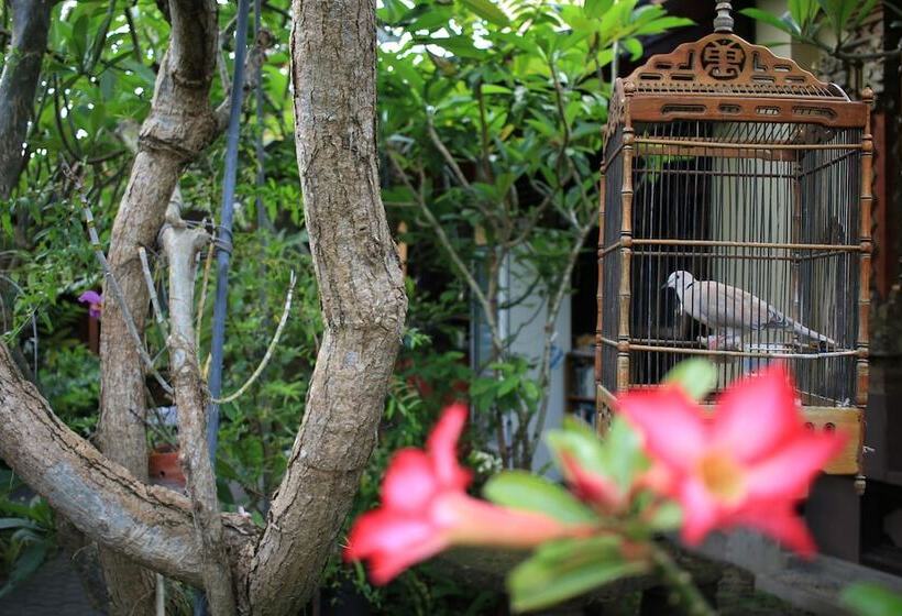 בית מלון כפרי Simon Homestay