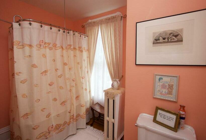 בית מלון כפרי Sylvia's Irish Inn