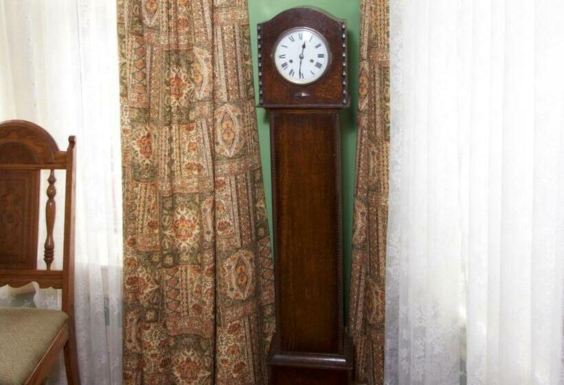 בית מלון כפרי Sylvia's Irish Inn