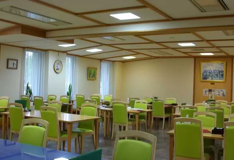 Romantopia, A Landscape Of Forest And Stars, The Swan, Hotel Of Stars