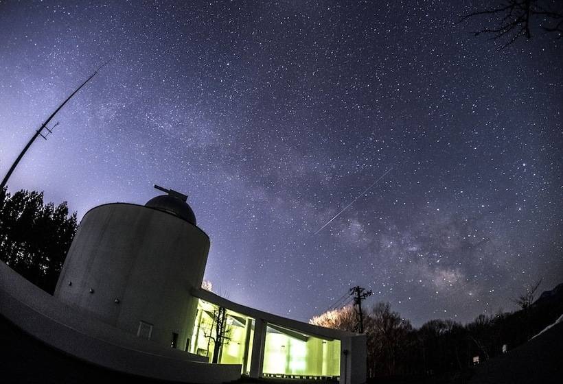 Romantopia, A Landscape Of Forest And Stars, The Swan, Hotel Of Stars