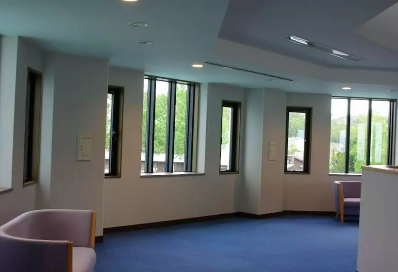 Romantopia, A Landscape Of Forest And Stars, The Swan, Hotel Of Stars