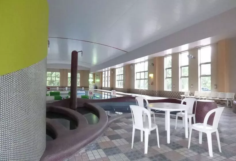 Romantopia, A Landscape Of Forest And Stars, The Swan, Hotel Of Stars