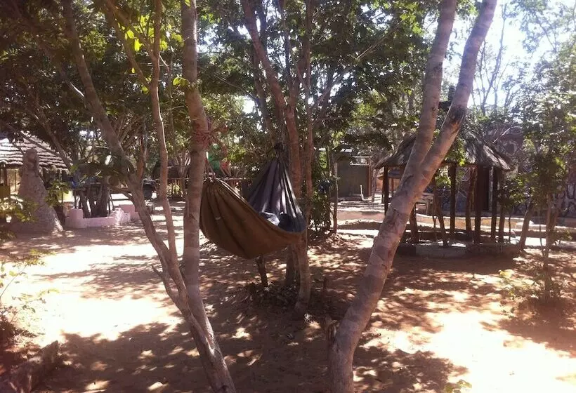 هتل Bananyana Backpackers