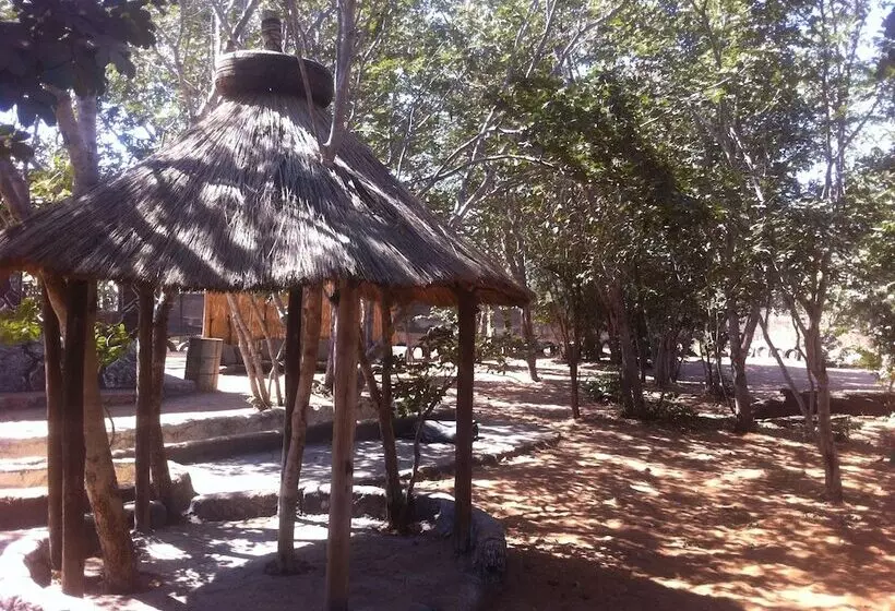 هتل Bananyana Backpackers