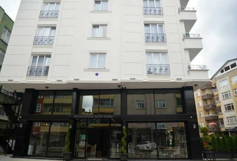 호텔 Enginyurt City