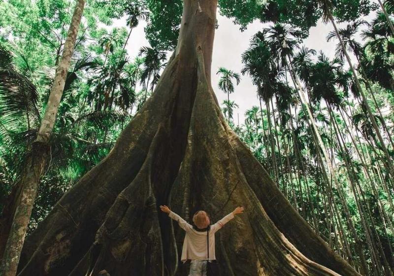 ホテル Huaykhakhaeng Country Home Resort