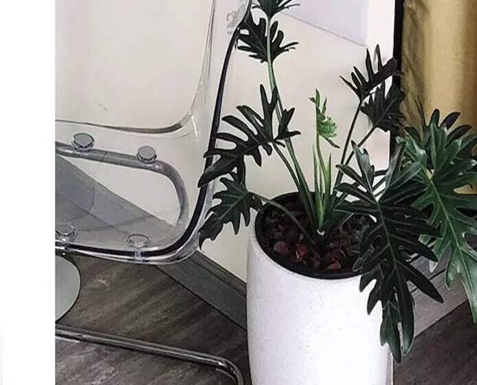 هتل Polkadot Hostel