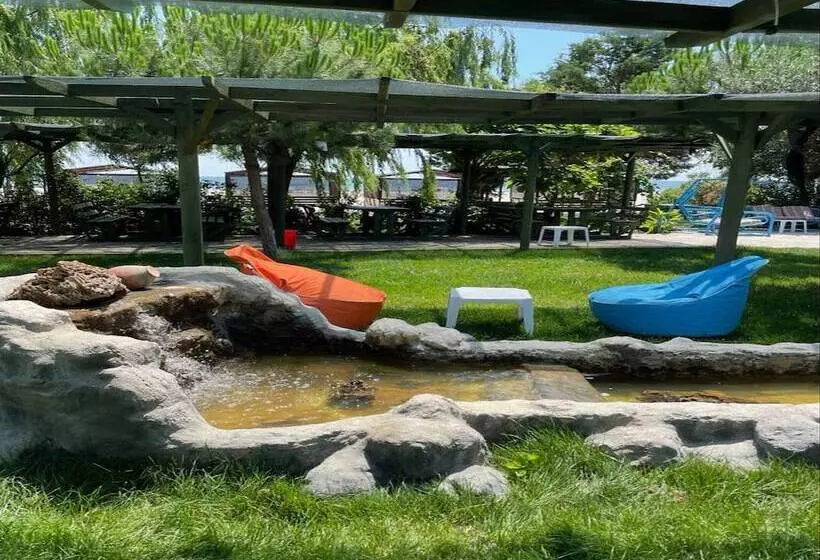 ホテル Safir Sunny Beach