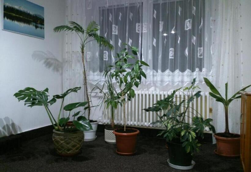 ホテル Sunnystreet Guesthouse