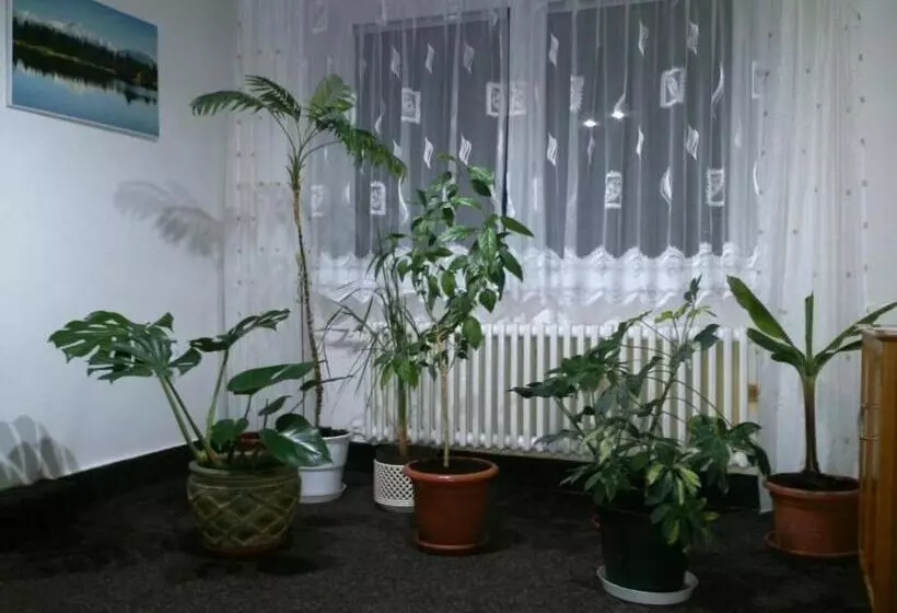 ホテル Sunnystreet Guesthouse