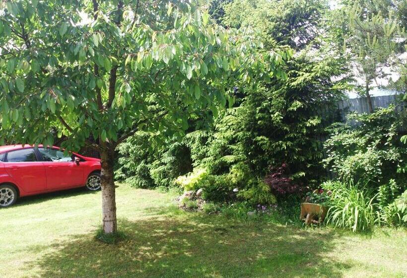 ホテル Sunnystreet Guesthouse