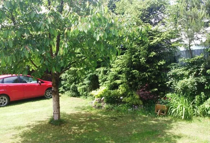 ホテル Sunnystreet Guesthouse