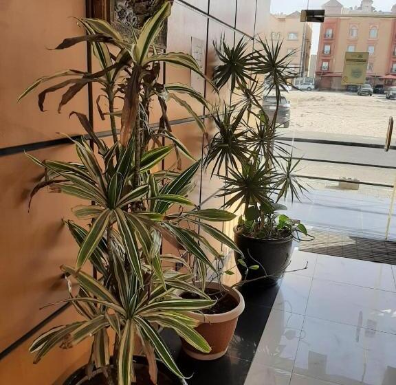 فندق سمأ الرفاع 2