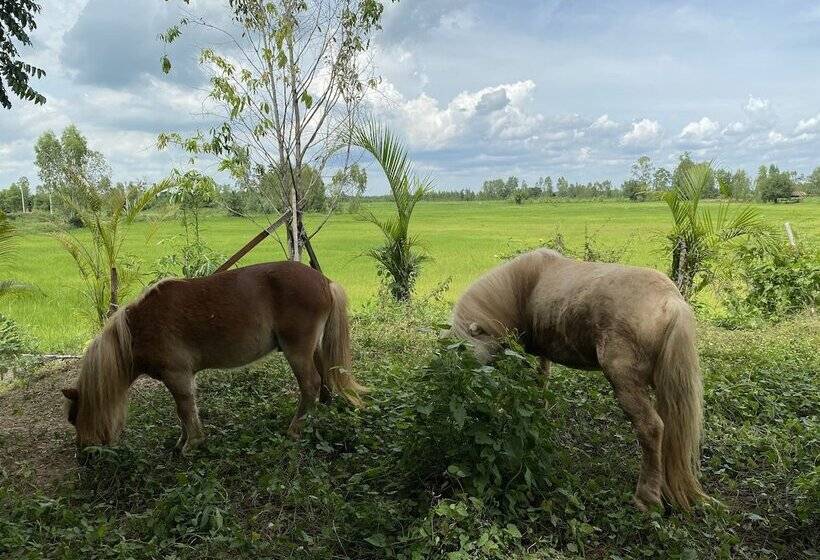 בית מלון כפרי Himawari Restaurant & Cottage