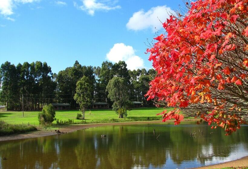 ホテル Pemberton Lake View Chalets