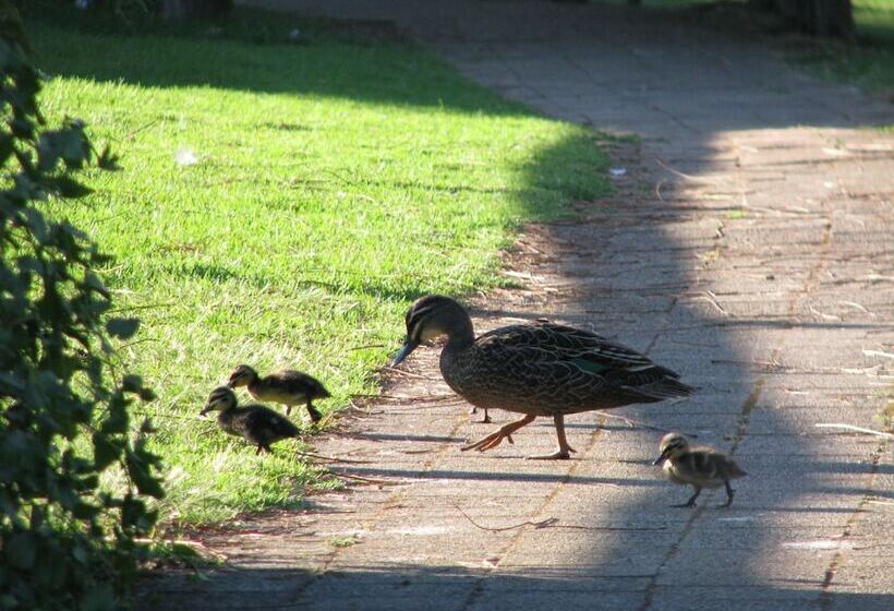 ホテル Pemberton Lake View Chalets