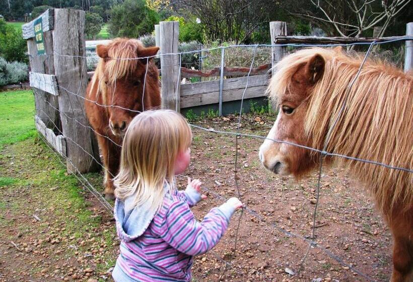ホテル Pemberton Lake View Chalets