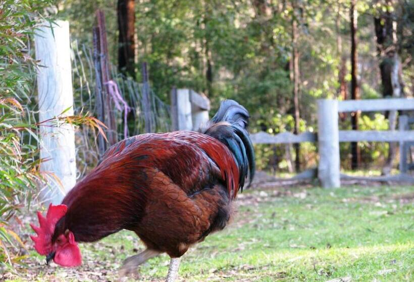 ホテル Pemberton Lake View Chalets