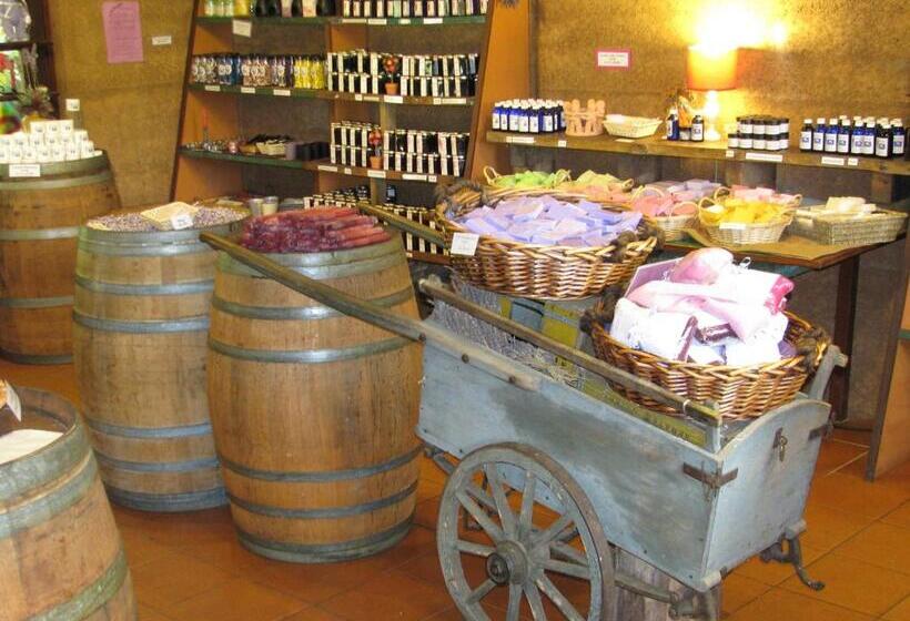 ホテル Pemberton Lake View Chalets