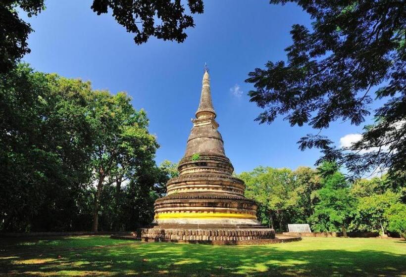 فندق U Sleep Chiangmai