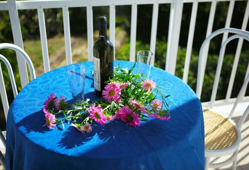 هتل Blue White Apartments