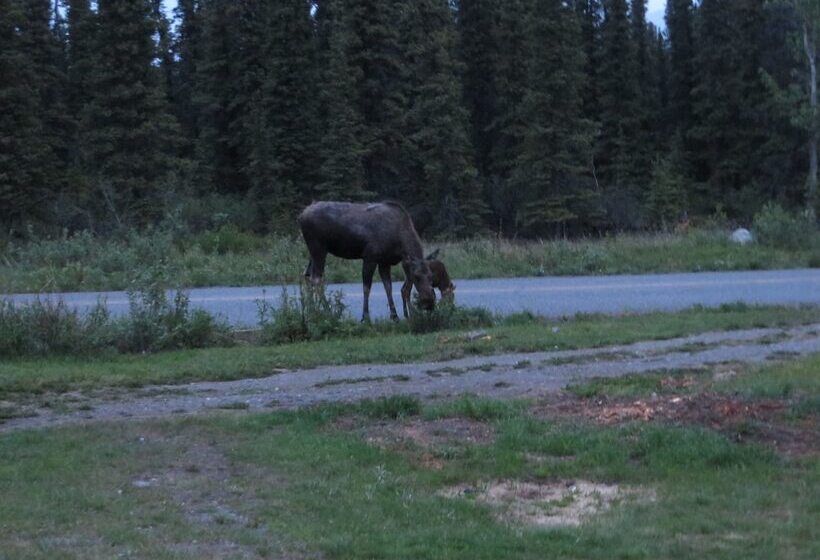 فندق Denali Tri Valley Cabins