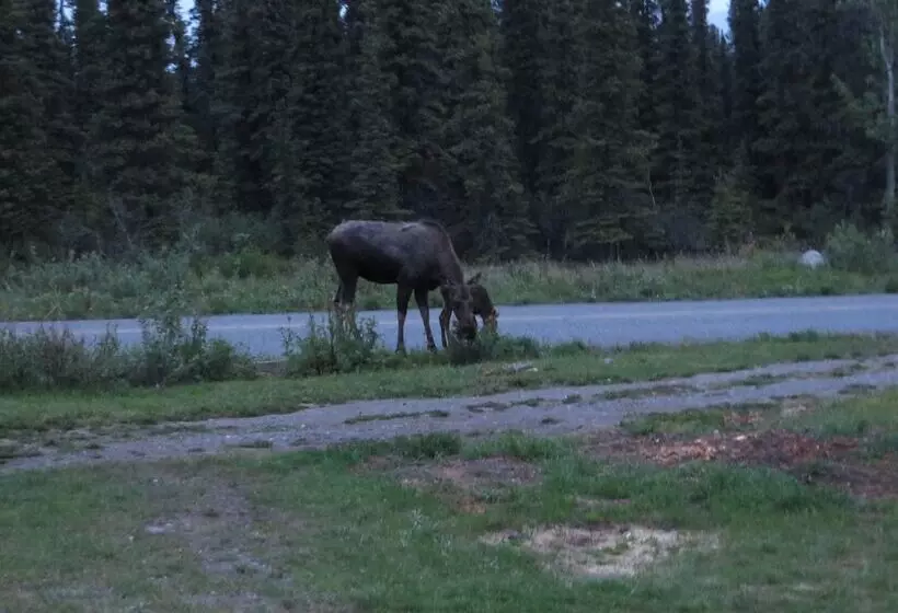 Hotelli Denali Tri Valley Cabins
