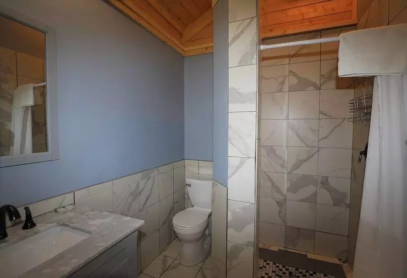 Hotelli Denali Tri Valley Cabins