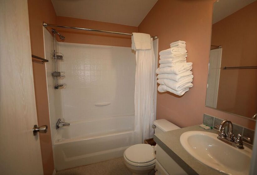 ホテル Denali Tri Valley Cabins