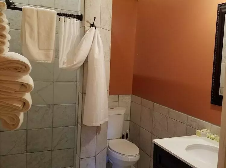 Hotelli Denali Tri Valley Cabins