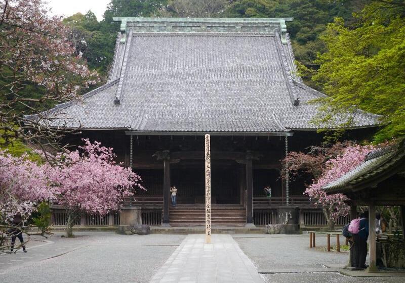 هتل Guest House Kamejikan  Turtle Time