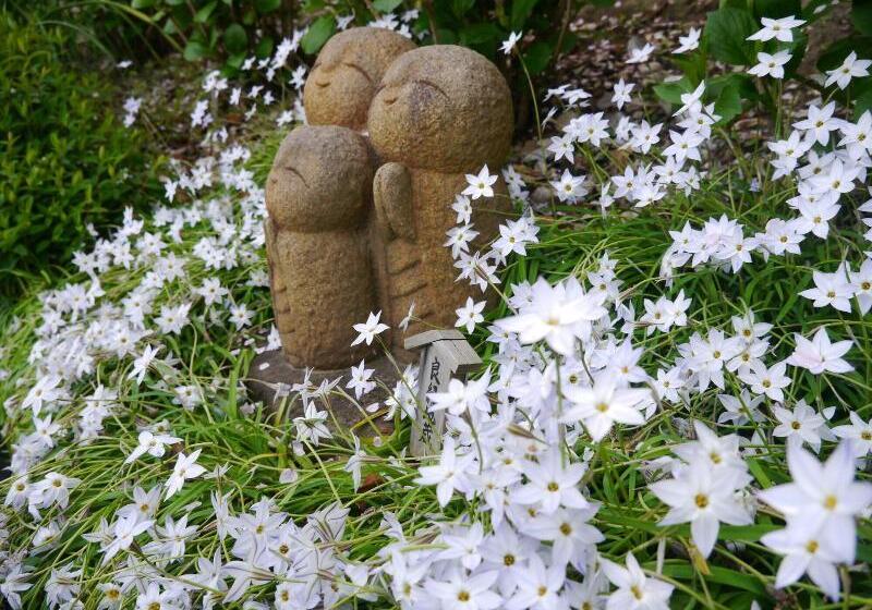 هتل Guest House Kamejikan  Turtle Time