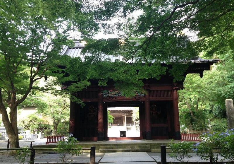 هتل Guest House Kamejikan  Turtle Time