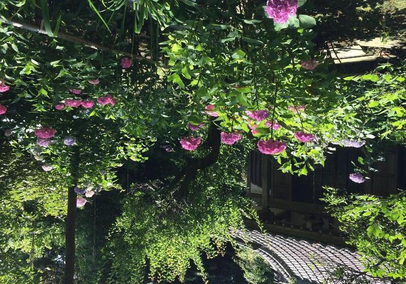 هتل Guest House Kamejikan  Turtle Time