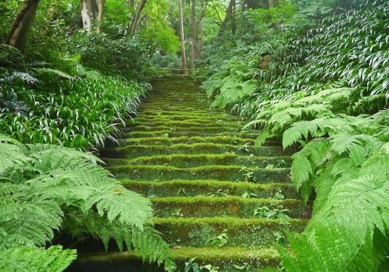 هتل Guest House Kamejikan  Turtle Time