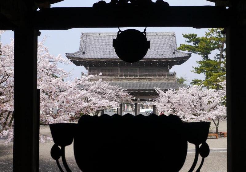 هتل Guest House Kamejikan  Turtle Time