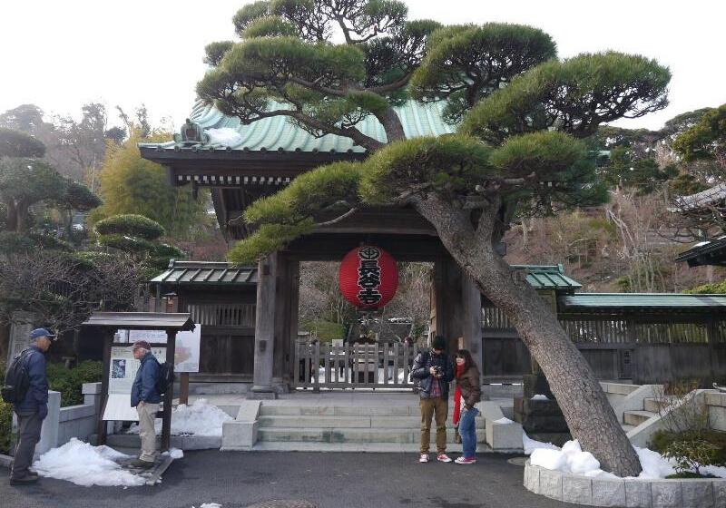 هتل Guest House Kamejikan  Turtle Time