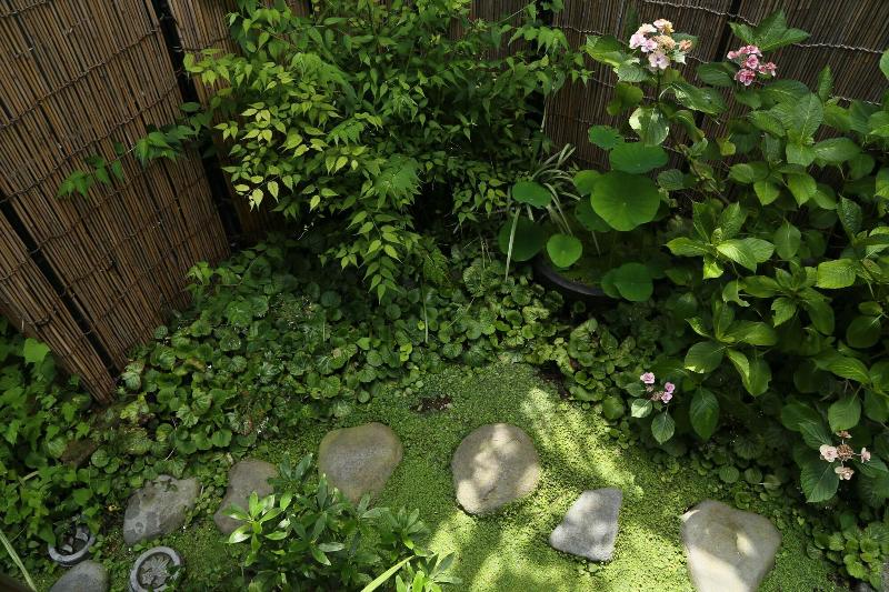 هتل Guest House Kamejikan  Turtle Time