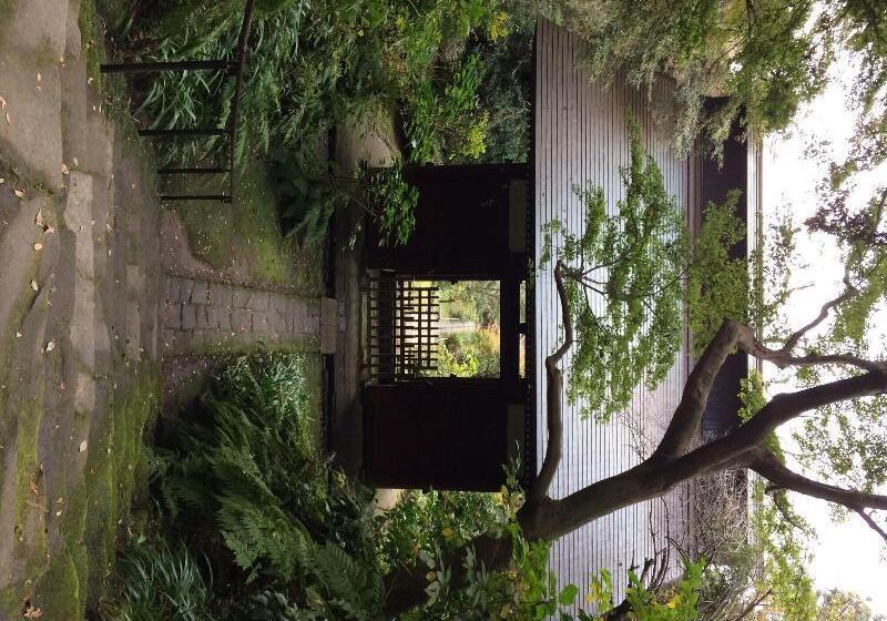 هتل Guest House Kamejikan  Turtle Time