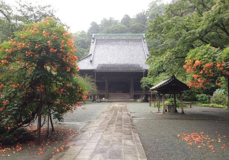 هتل Guest House Kamejikan  Turtle Time