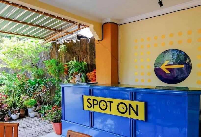 호텔 Mandiri Senggigi Homestay