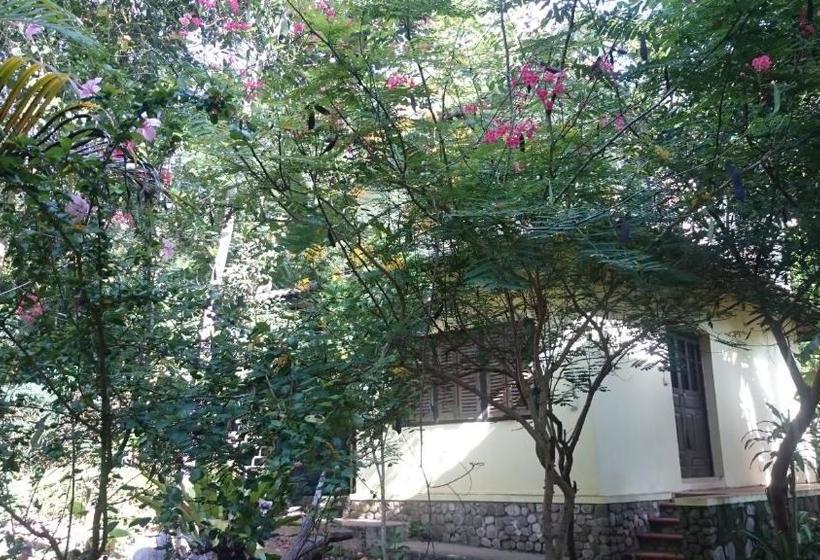 فندق The Boat House