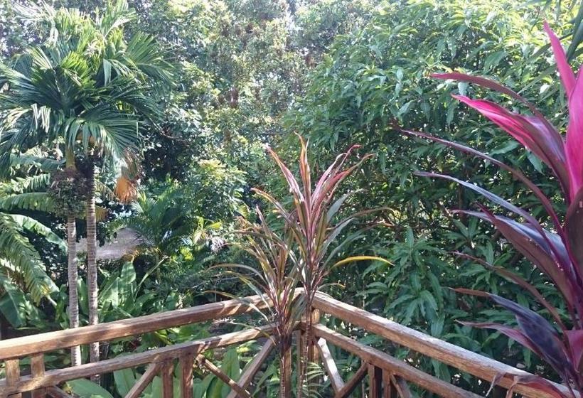 فندق The Boat House