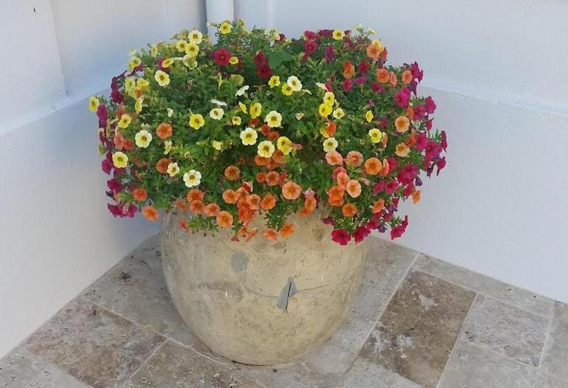 호텔 B&b Villa Blanche